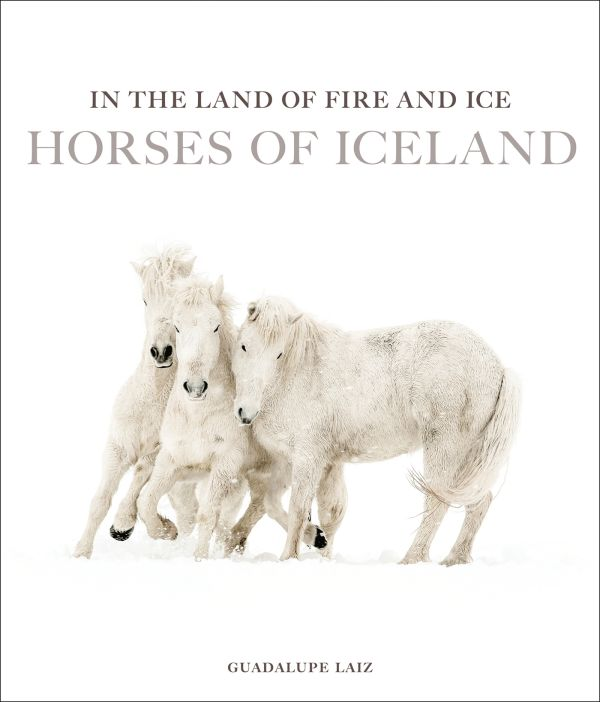 Cover of In the Land of Fire and Ice: Horses of Iceland by Guadalupe Laiz