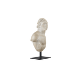 Young Royal Greek Torso | Design for the PPL