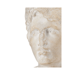 Young Royal Greek Torso | Design for the PPL