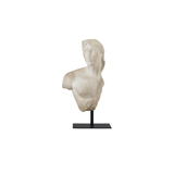 Young Royal Greek Torso | Design for the PPL